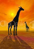 Giraffe shadows - 3D render