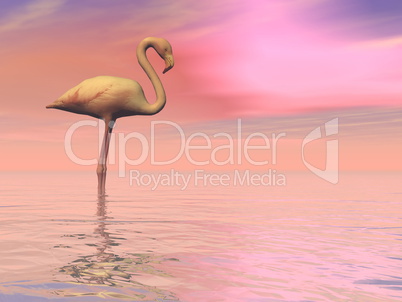 Peaceful flamingo- 3D render