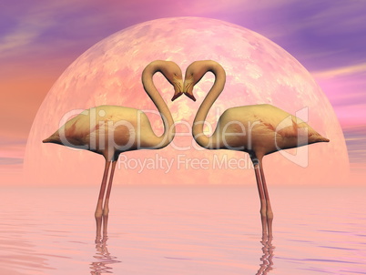 Flamingo love - 3D render