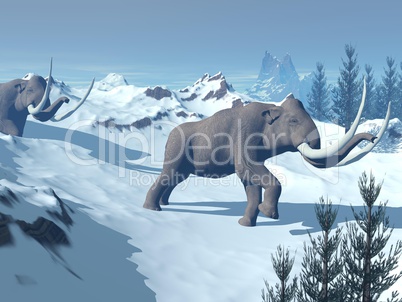 Mammoths walk - 3D render