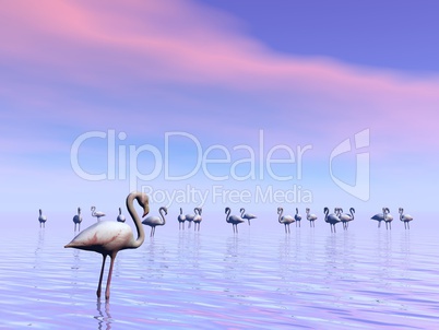 Flock of flamingos - 3D render