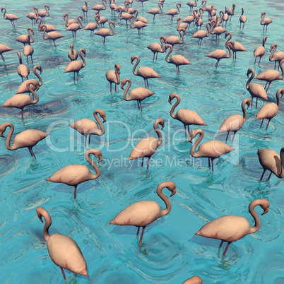 Flock of flamingos - 3D render