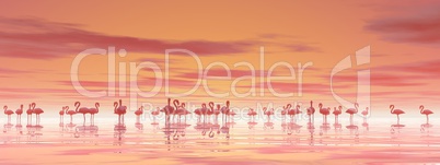 Flock of flamingos - 3D render