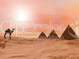 Camel and mysterious pyramids - 3D render