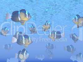 Many Clarks clown fishes - 3D render
