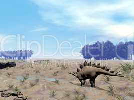 Stegosaurus looking for water