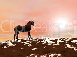 Horse meeting the sun - 3D render