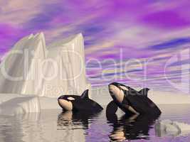 Orca journey - 3D render