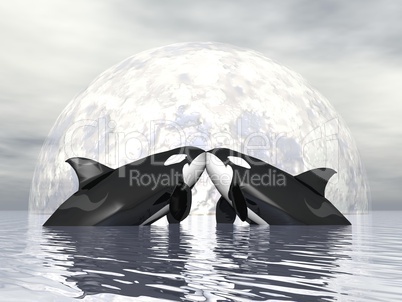 Orca love - 3D render
