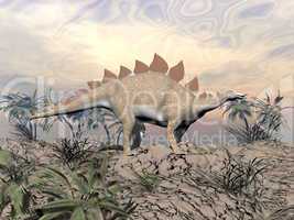 Vigilent stegosaurus