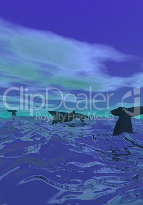 Funny whales - 3D render