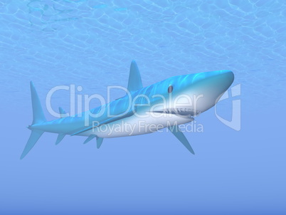 Shark - 3D render