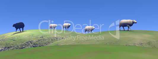 Black sheep - 3D render