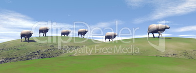 Sheeps - 3D render