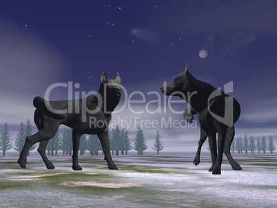 Wolves by night - 3D render
