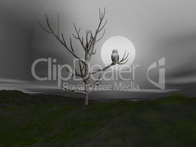 Owl and moonlight - 3D render