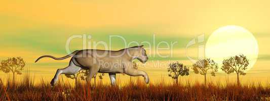 Lioness running in the savannah - 3D render