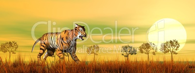 Tiger walking in the savannah - 3D render
