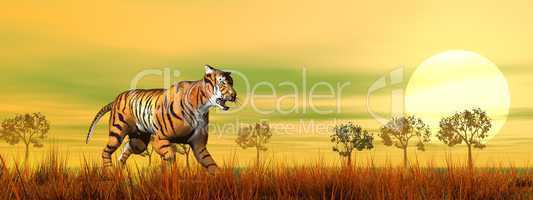 Tiger walking in the savannah - 3D render
