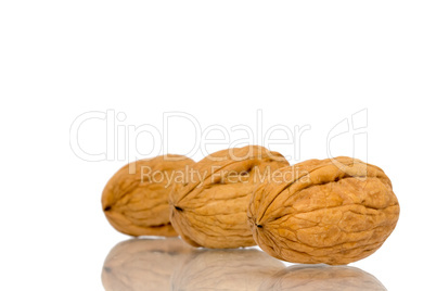 Walnut