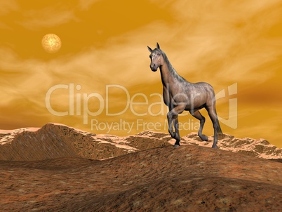 Brown horse on the mountain - 3D render