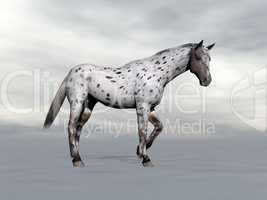 Leopard horse standing - 3D render