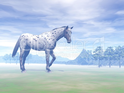 Leopard horse in nature - 3D render