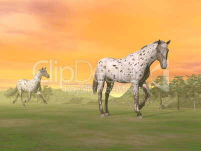 Leopard horses in nature - 3D render