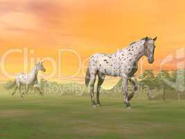Leopard horses in nature - 3D render