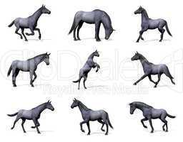 Set of blue roan horses - 3D render