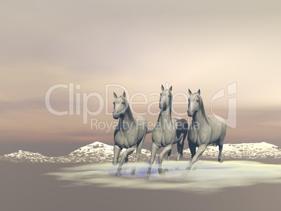Horses gallopping - 3D render