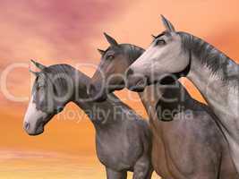Portrait of three horses - 3D render