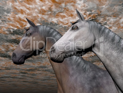 Portrait of two horses - 3D render