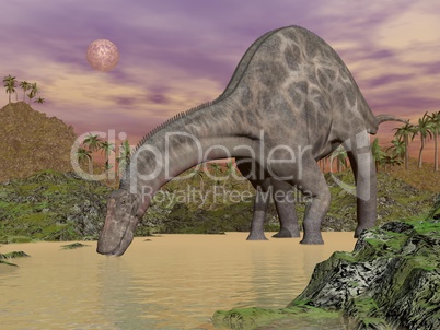 Dicraeosaurus dinosaur drinking - 3D render