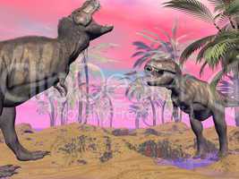 Tyrannosaurus argue - 3D render