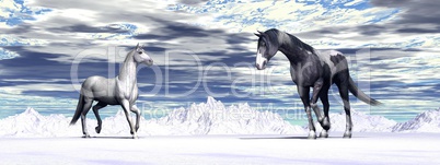 Couple of horses - 3D render