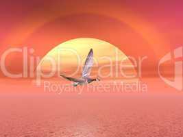 Goose flight by sunset