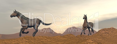 Horses galloping in the desert - 3D render