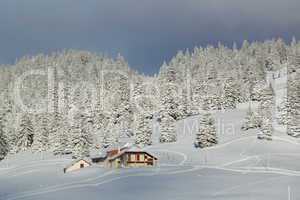 House and fir tree in winter, Jura mountain, Switzerland