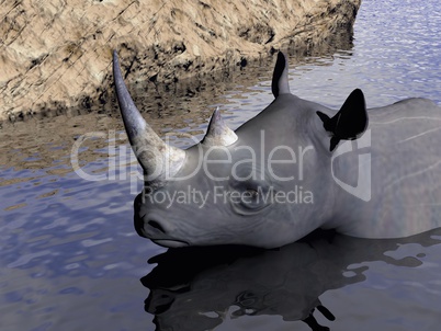 Rhinoceros bath - 3D render