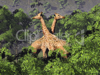 Giraffes and trees - 3D render