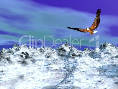 Eagle over snowy mountain - 3D render
