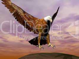 Eagle landing - 3D render