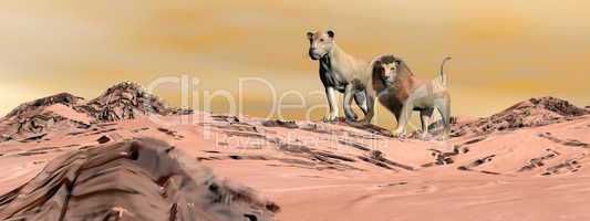 Couple of lions in the desert - 3D render