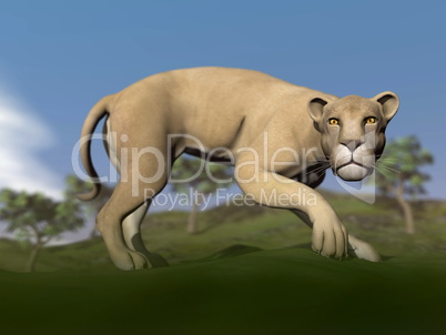Vigilent lioness - 3D render