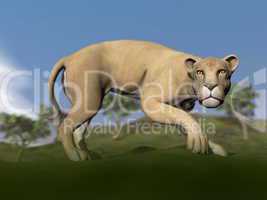 Vigilent lioness - 3D render