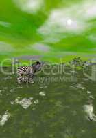 Mother and baby zebras in grassland - 3D render