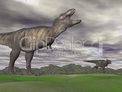 Tyrannosaurus shouting at another - 3D render