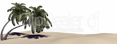 Dream of tropics - 3D render