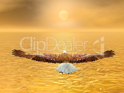 Eagle going to the sun - 3D render